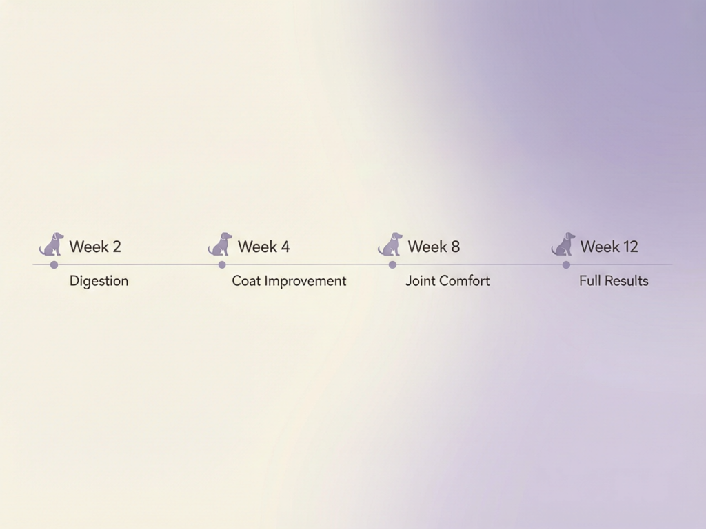 Timeline of fish oil benefits for dogs over 12 weeks